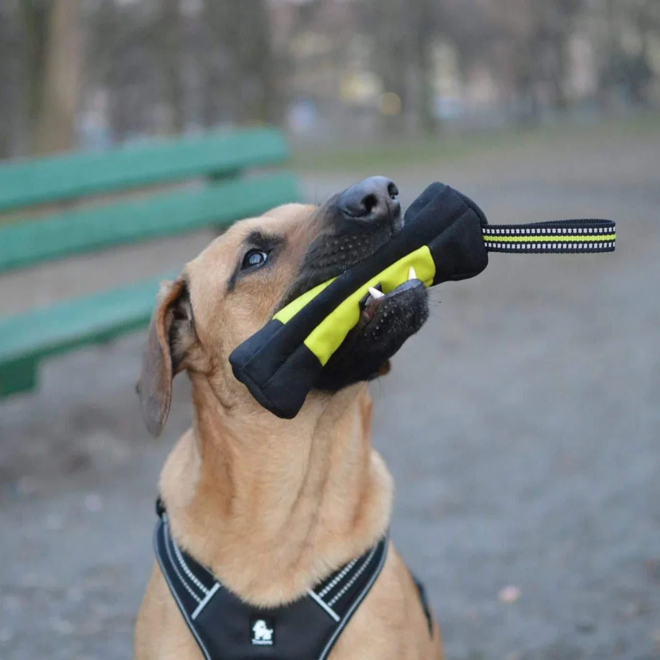 Truelove Dog Training Retrieve - Food Storage Zipper recension och pris