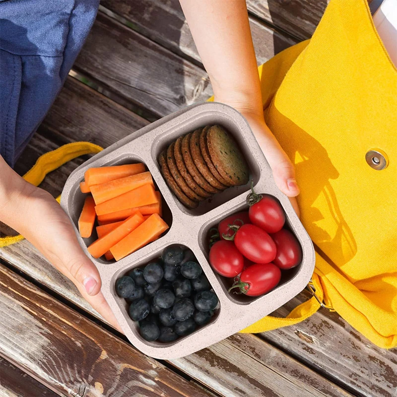 4 Grids Food Storage Box Porta - Food Storage Freezer recension och pris