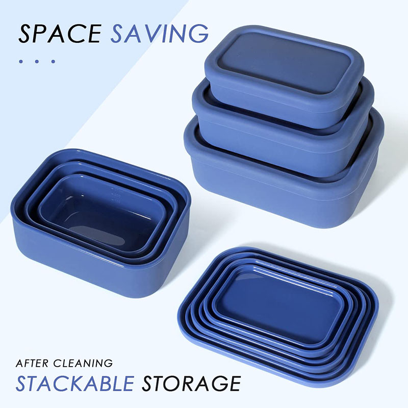 Leak-Resistant Bento Lunch Box - Food Storage 30 Years recension och pris