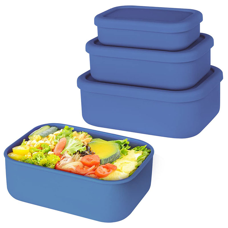 Leak-Resistant Bento Lunch Box - Food Storage 30 Years recension och pris
