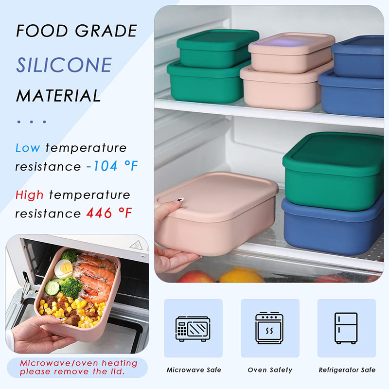 Leak-Resistant Bento Lunch Box - Food Storage 30 Years recension och pris