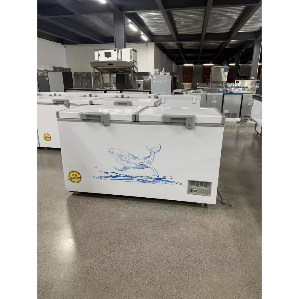 Wholesale Custom Horizontal Ch - Food Storage Freezer recension och pris