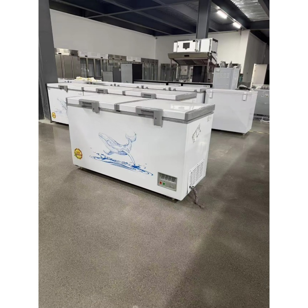 Wholesale Custom Horizontal Ch - Food Storage Freezer recension och pris