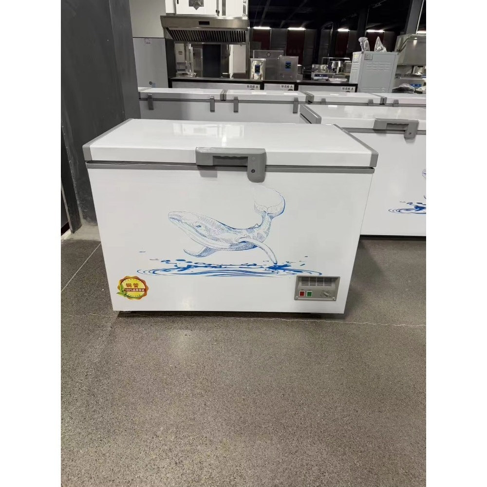 Wholesale Custom Horizontal Ch - Food Storage Freezer recension och pris